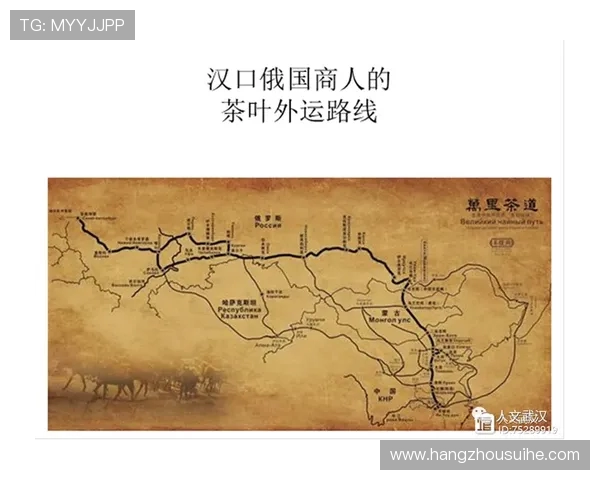 南京乒乓球队战术解析与训练策略的深度探讨与展望