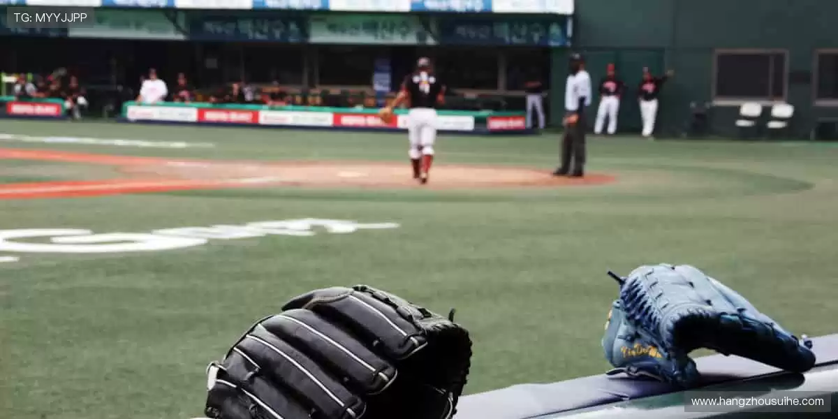 体育周边，冠军同款，你的专属装备库！🏆🎯